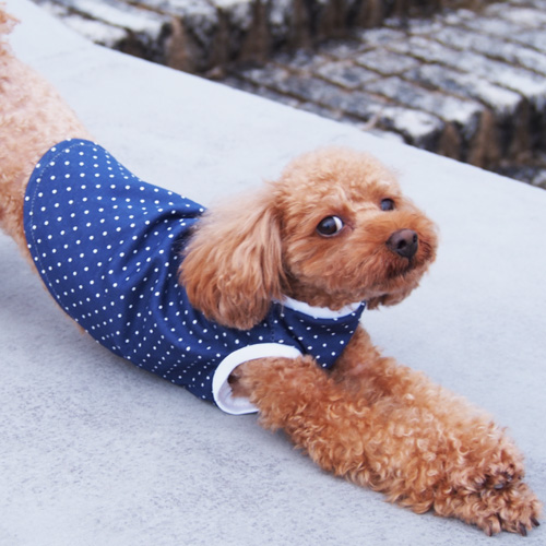 大型犬ちゃん　タンクトップ　青リブ