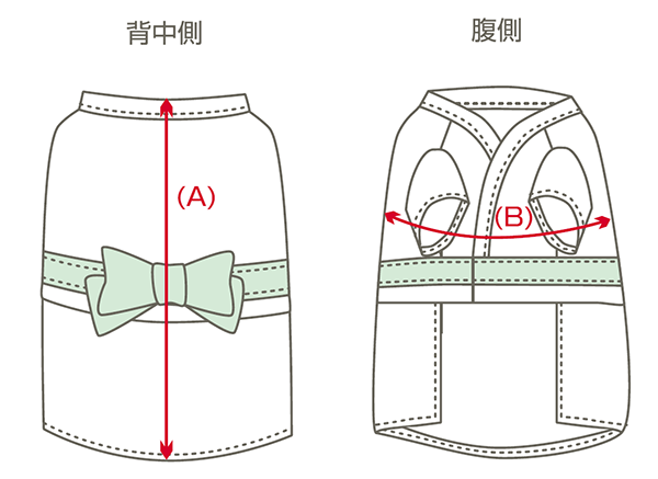 サイズ