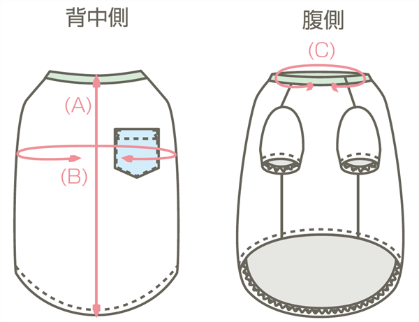 サイズ