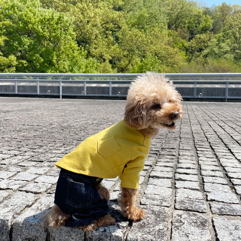 犬服ハンドメイド 胸あて フリル