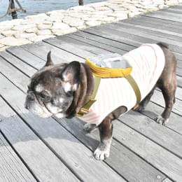 リュックサック・ボディバッグ