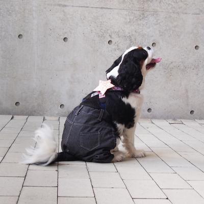 デニムペインターパンツ パーツ(組み合わせパンツ・スカートシリーズ)