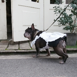 エプロンスカート