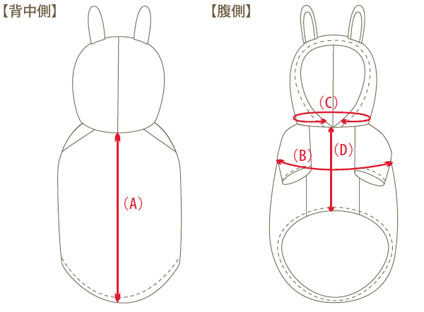 サイズ