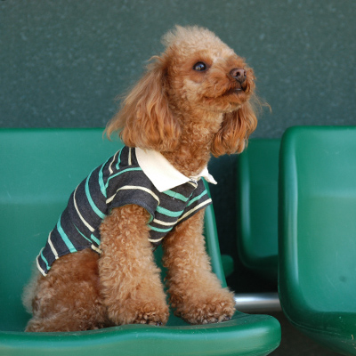 ベーシックラグランTシャツ / 愛犬のための犬服、ペット服の型紙通販 