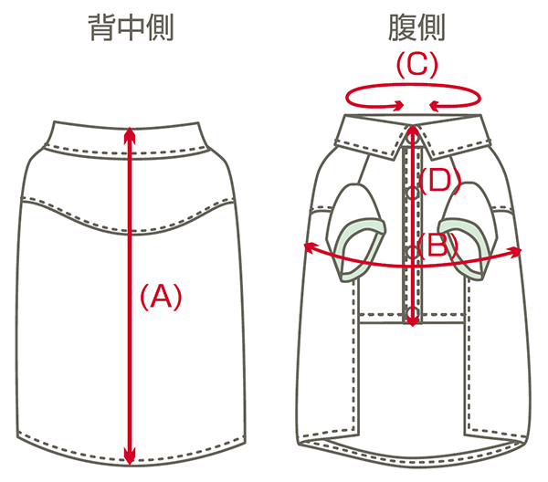 サイズ