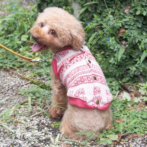 バックオープンベスト / 愛犬のための犬服、ペット服の型紙通販