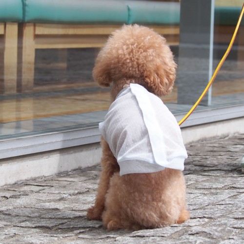 バックオープンベスト / 愛犬のための犬服、ペット服の型紙通販 