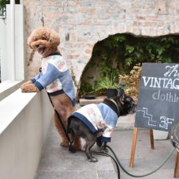 家族でおそろいが作れる!みんなのラグラントレーナー/パーカー(犬用)