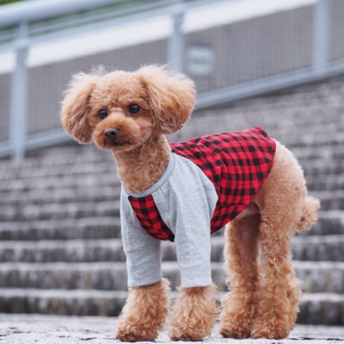 ベーシックラグランTシャツ / 愛犬のための犬服、ペット服の型紙通販 