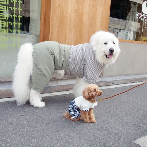 人気の ひめ様専用　ハンドメイド犬服　ワンピース　Mサイズ 犬用品