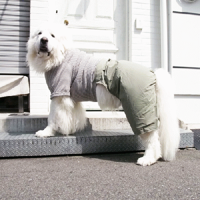 ハイウェストカバーオールパンツ