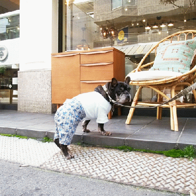 ハイウェストカバーオールパンツ