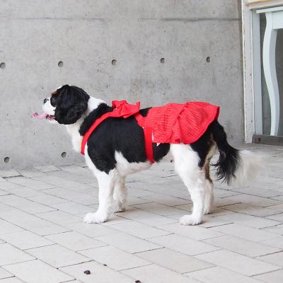 ティアードスカート(組み合わせパンツ・スカートシリーズ　パーツセットA)