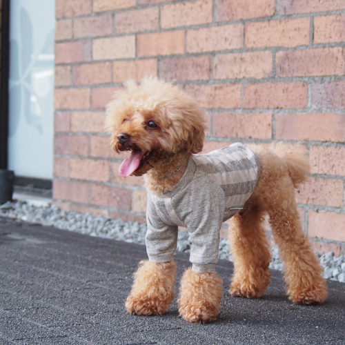 犬服ハンドメイド^_^フワフワ巾着トレーナー