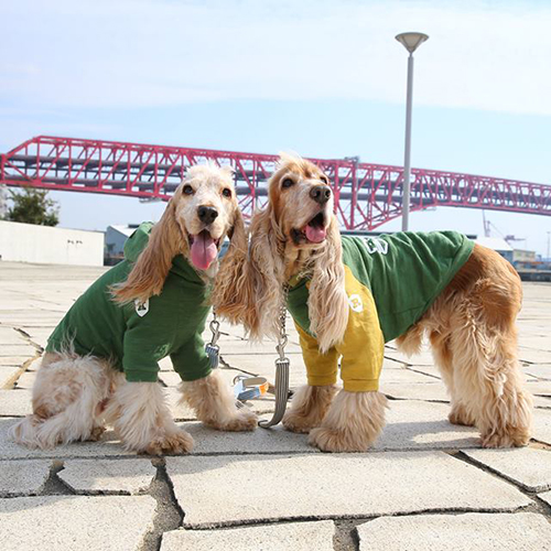 犬服ハンドメイド^_^フワフワ巾着トレーナー