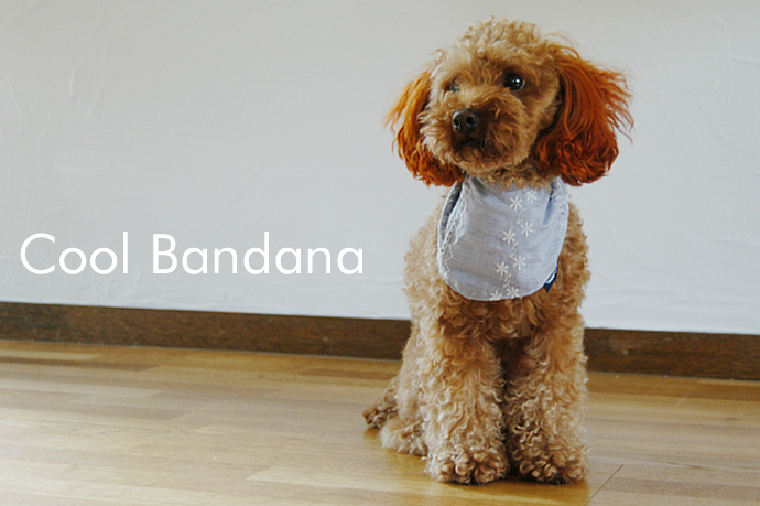 無料の犬服型紙 作り方ダウンロード 犬のクールバンダナ 愛犬のための犬服 ペット服の型紙通販 作り方 教室 Milla Milla ミラミラ