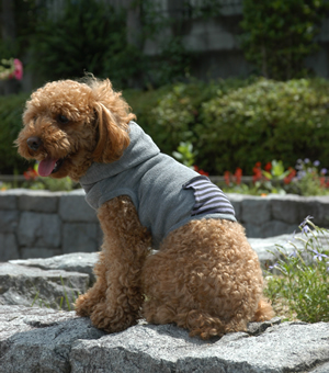 無料の犬服型紙 作り方ダウンロード フード ポケット 愛犬のための犬服 ペット服の型紙通販 作り方 教室 Milla Milla ミラミラ