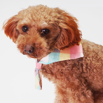 無料の犬服型紙 作り方ダウンロード セーラーカラー 愛犬のための犬服 ペット服の型紙通販 作り方 教室 Milla Milla